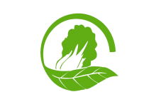 饮马池村优质青菜批发/零售,可自行拆摘-微村务